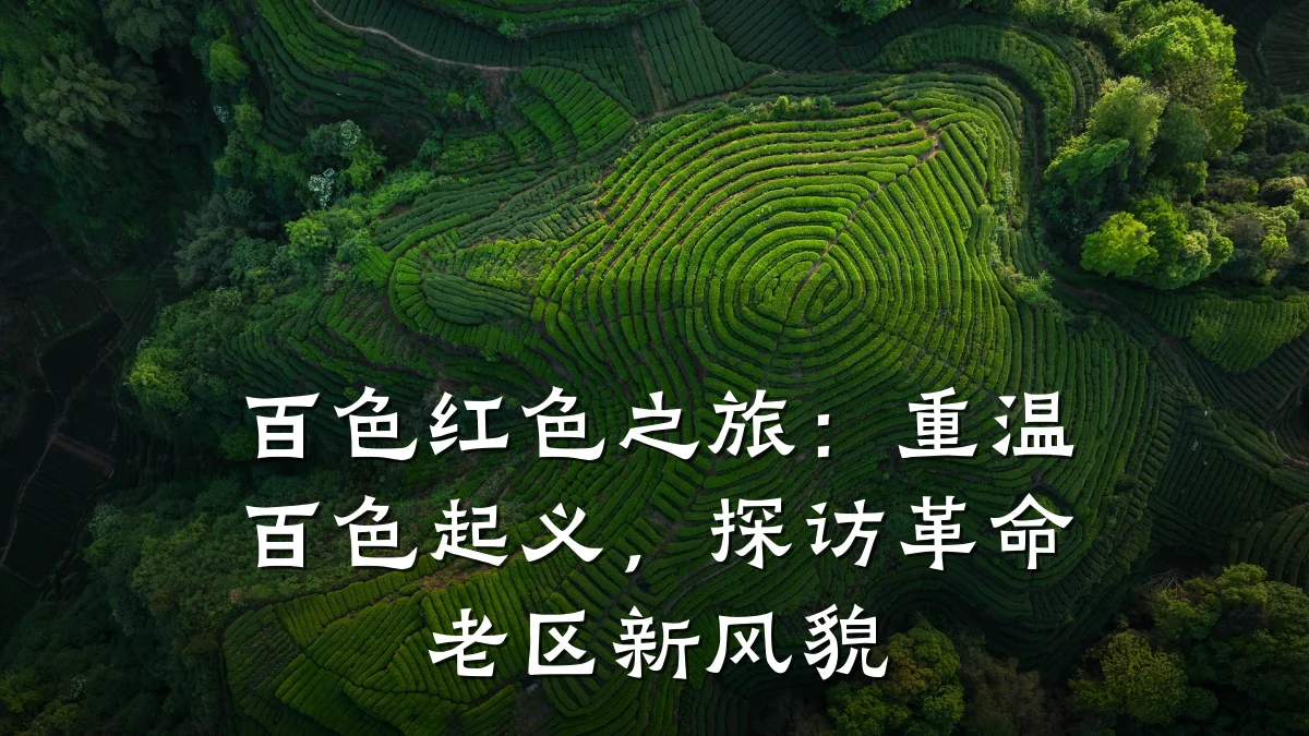 百色红色之旅:重温百色起义,探访革命老区新风貌