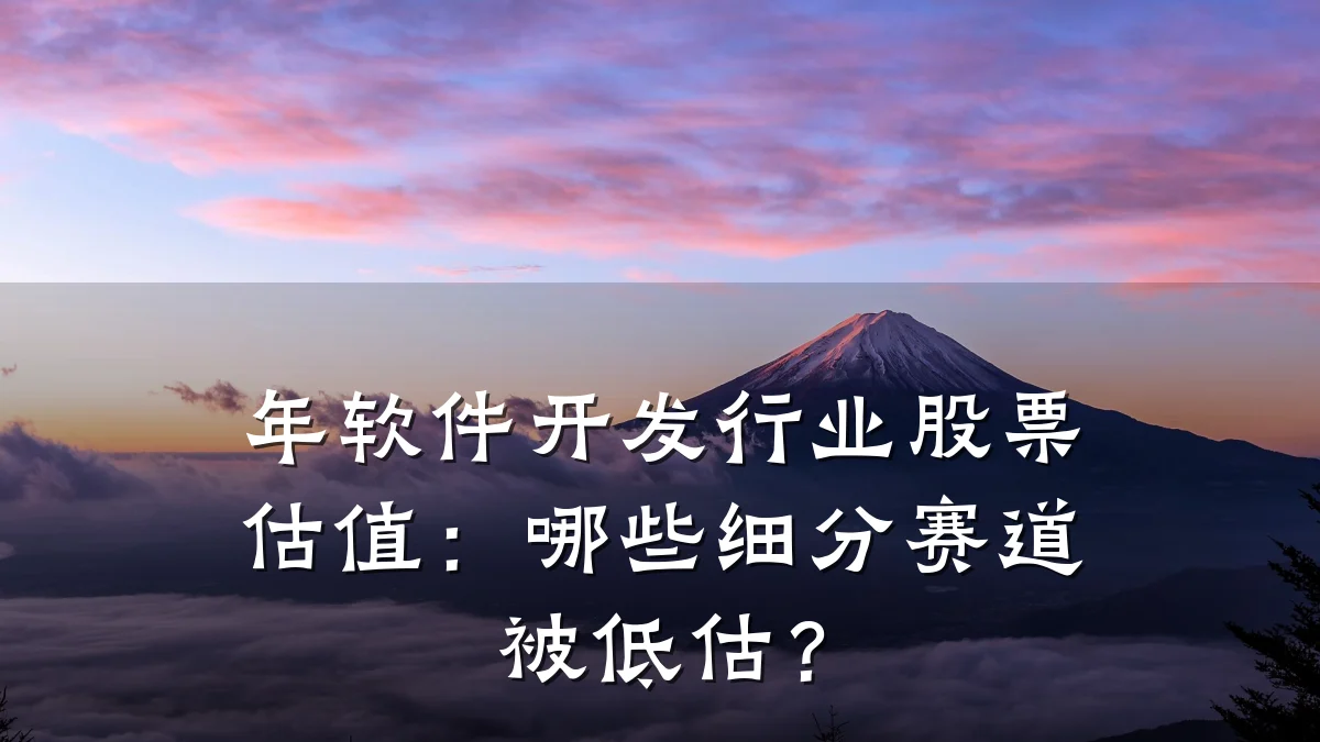年软件开发行业股票估值:哪些细分赛道被低估?