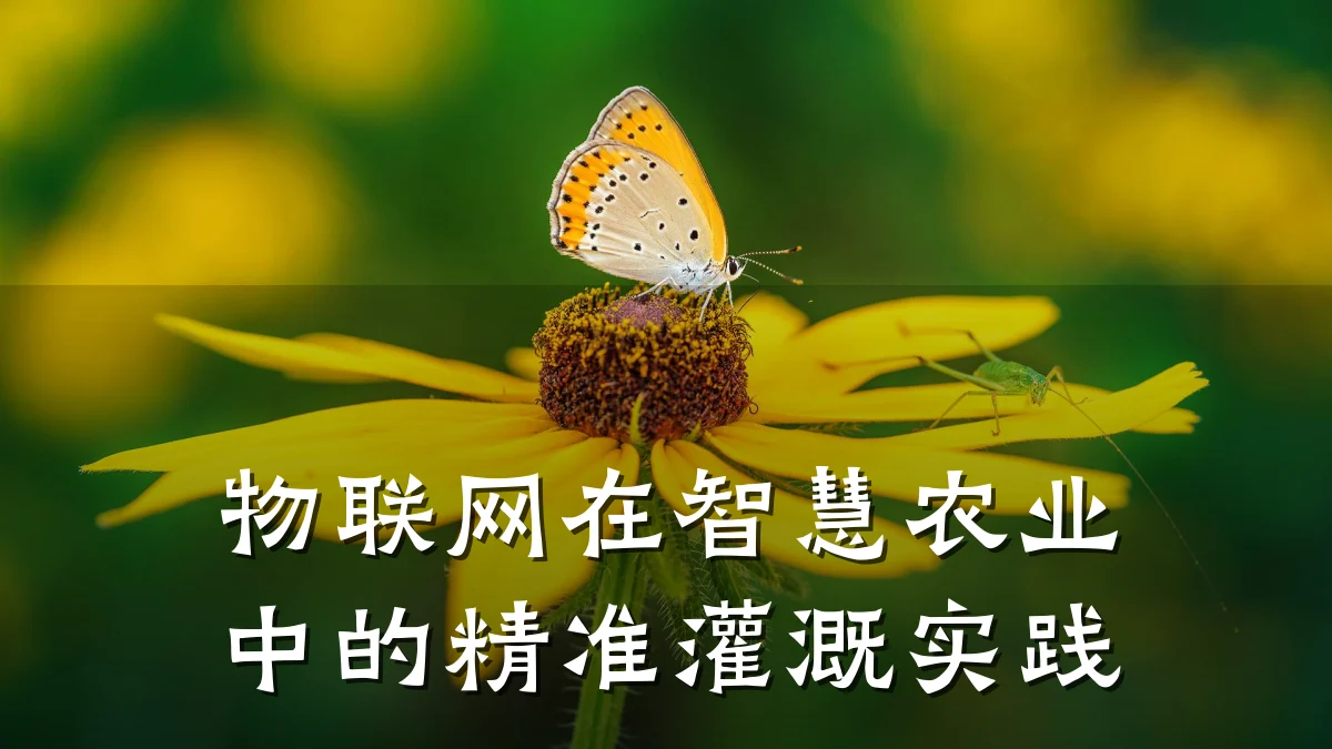 物联网在智慧农业中的精准灌溉实践