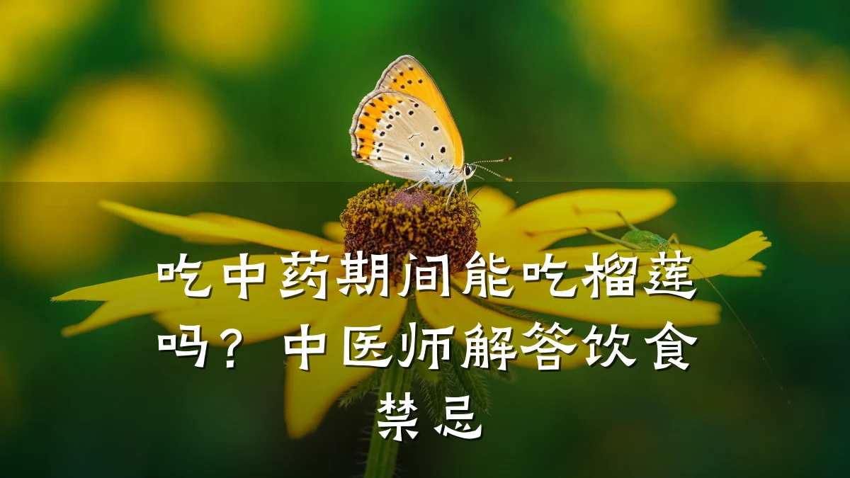 吃中药期间能吃榴莲吗？中医师解答饮食禁忌