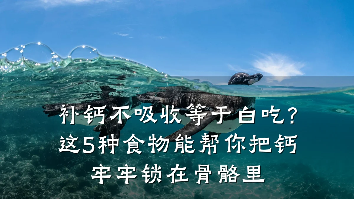 补钙不吸收等于白吃？这5种食物能帮你把钙牢牢锁在骨骼里