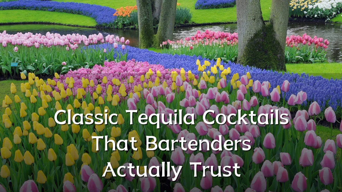 Classic Tequila Cocktails That Bartenders Actually Trust
