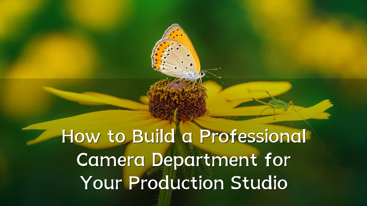 How to Build a Professional Camera Department for Your Production Studio