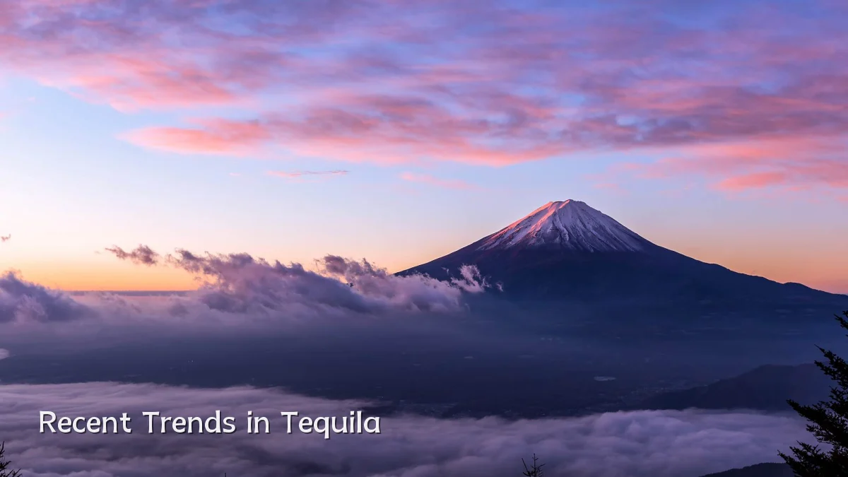 Recent Trends in Tequila