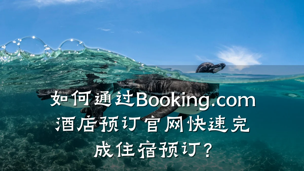 如何通过Booking.com酒店预订官网快速完成住宿预订?