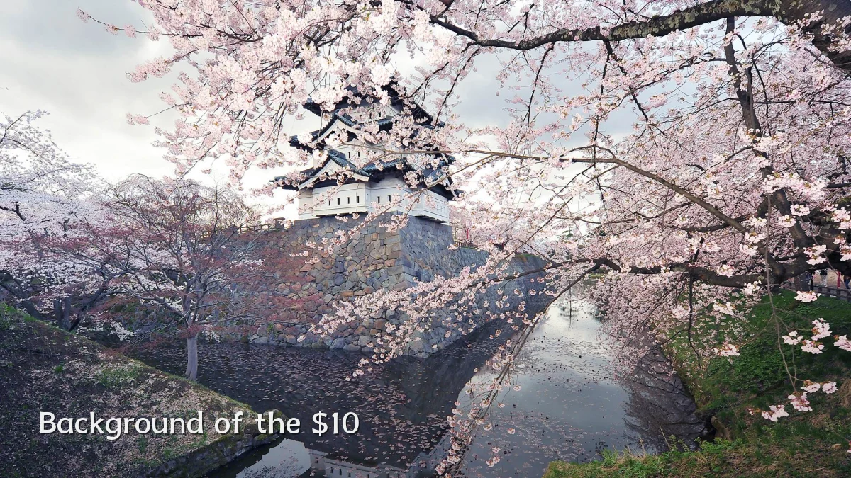Background of the $10