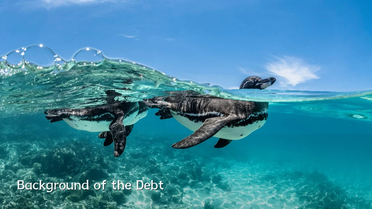 Background of the Debt
