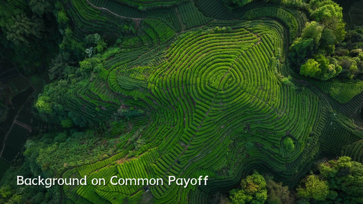 Background on Common Payoff