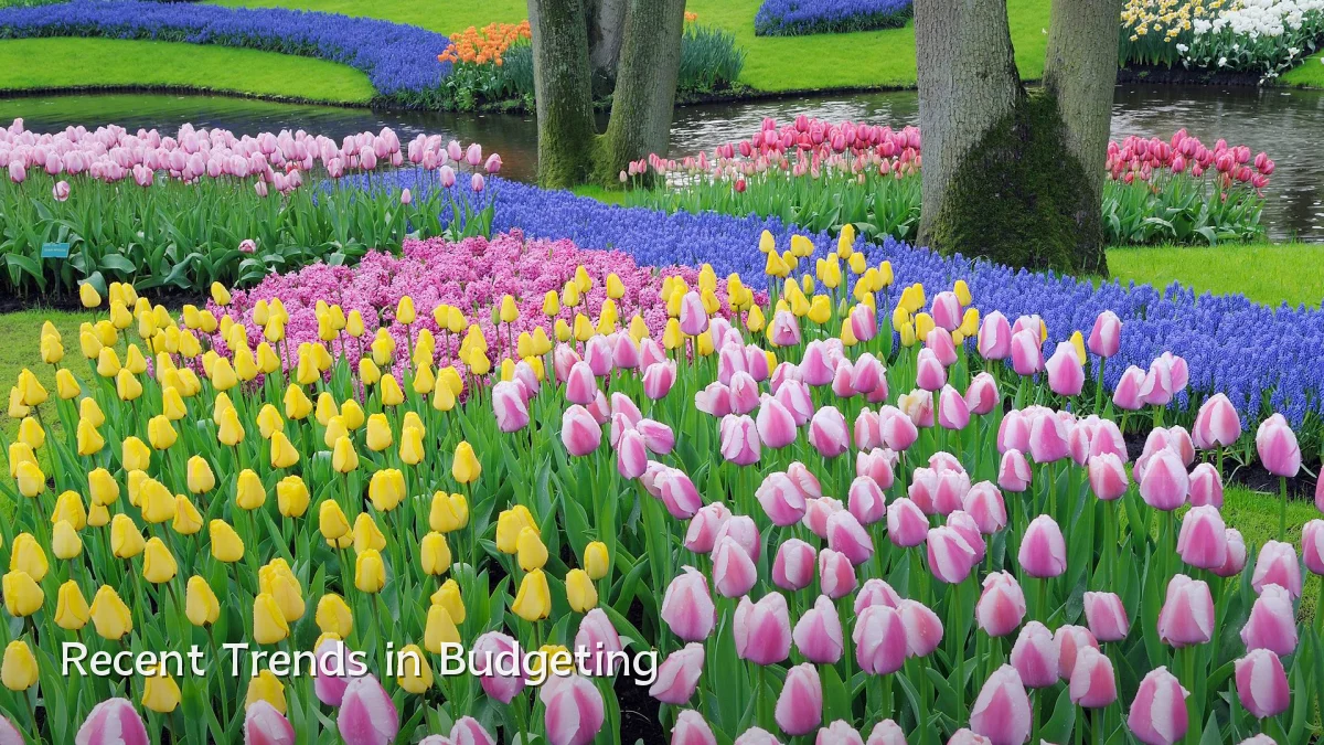 Recent Trends in Budgeting