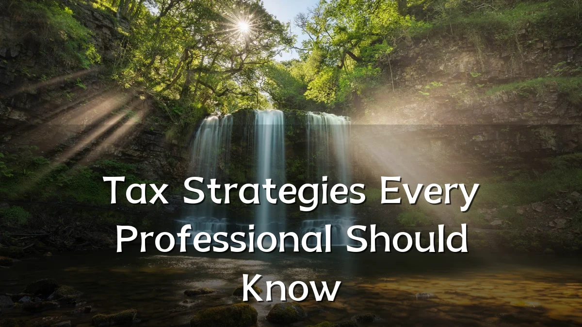 Tax Strategies Every Professional Should Know