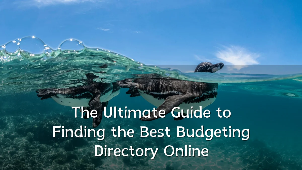 The Ultimate Guide to Finding the Best Budgeting Directory Online