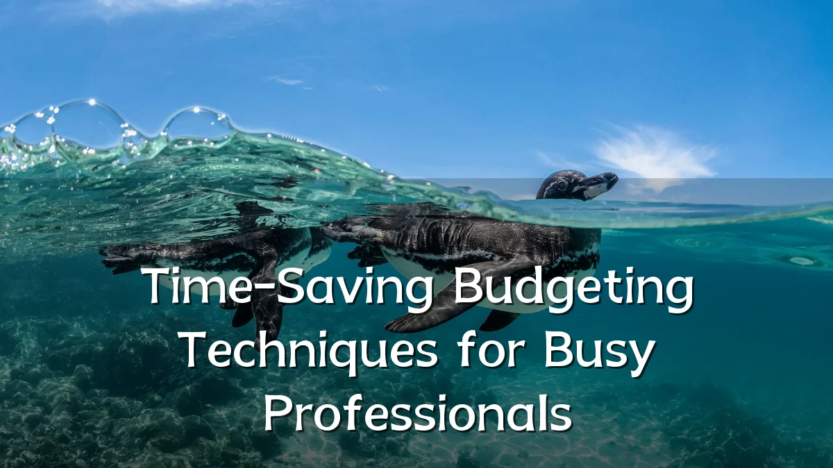 Time-Saving Budgeting Techniques for Busy Professionals