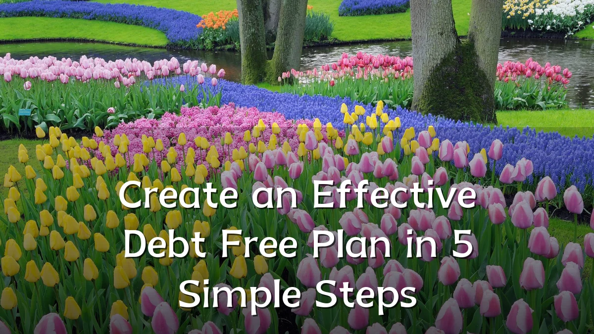 Create an Effective Debt Free Plan in 5 Simple Steps