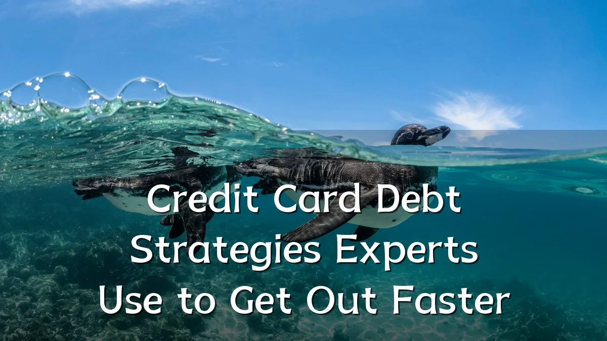 Credit Card Debt Strategies Experts Use to Get Out Faster