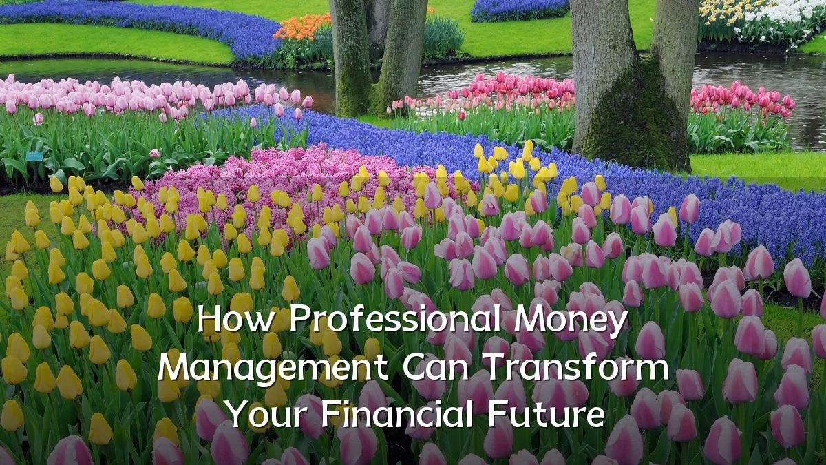 How Professional Money Management Can Transform Your Financial Future