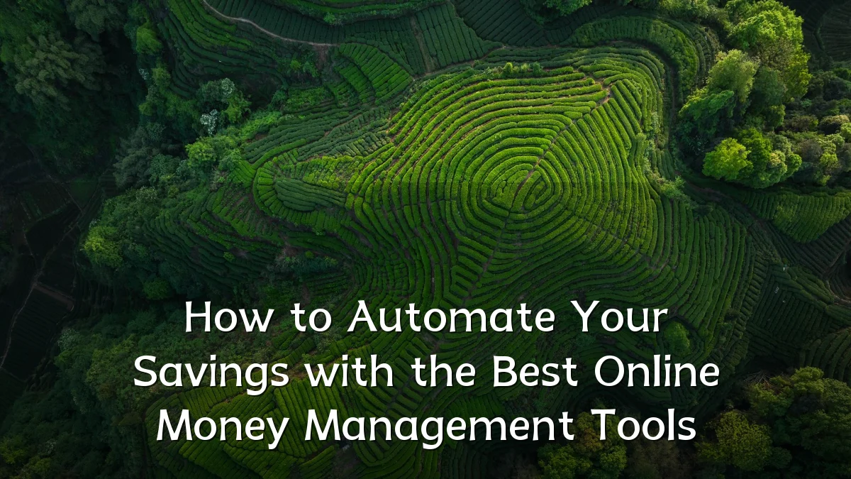 How to Automate Your Savings with the Best Online Money Management Tools