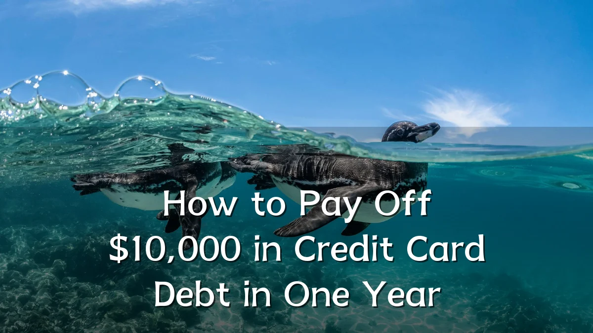 How to Pay Off $10,000 in Credit Card Debt in One Year