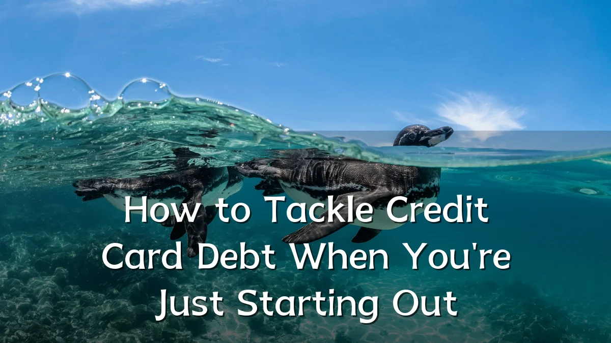 How to Tackle Credit Card Debt When You're Just Starting Out