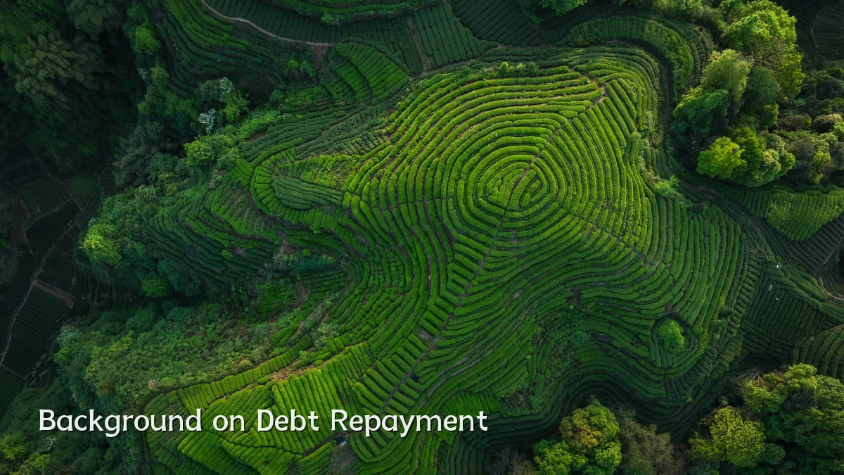 Background on Debt Repayment