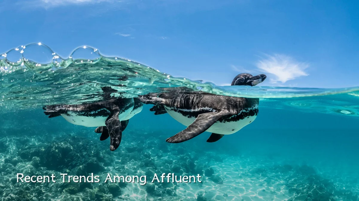 Recent Trends Among Affluent