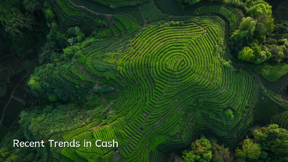 Recent Trends in Cash