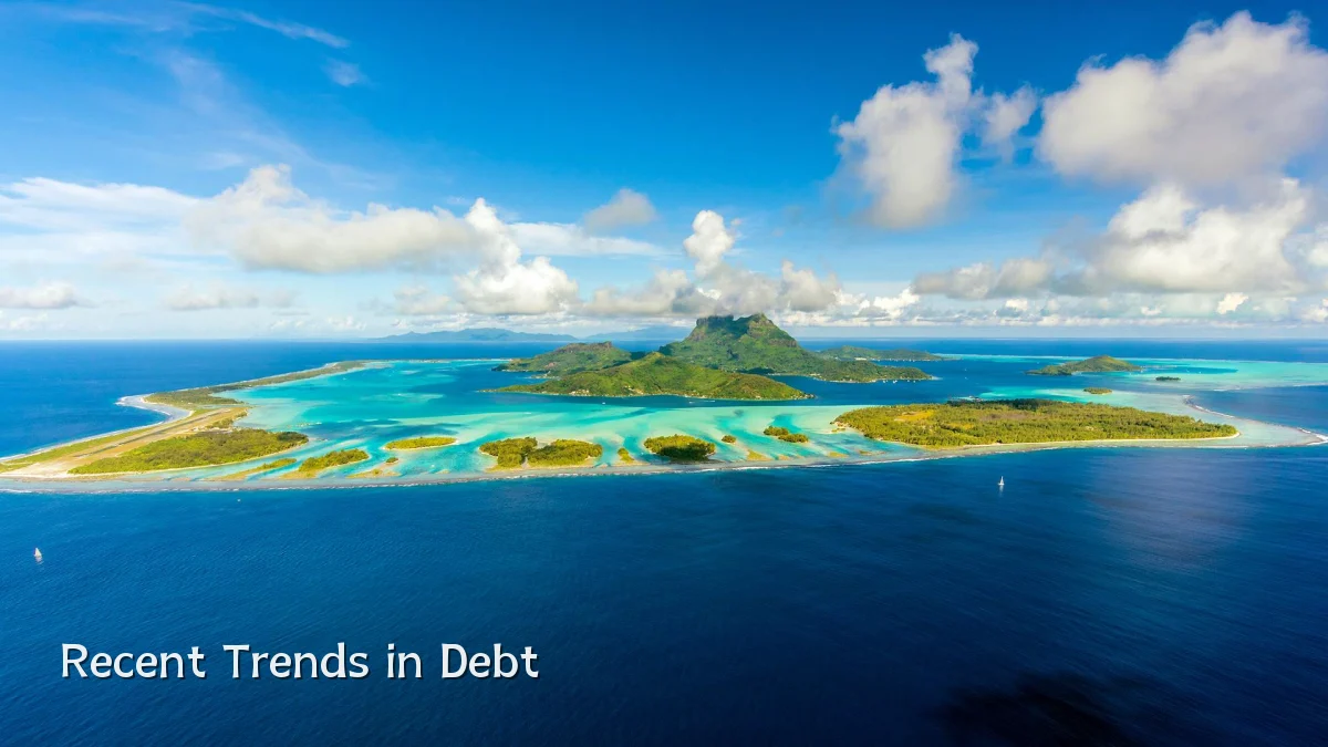 Recent Trends in Debt