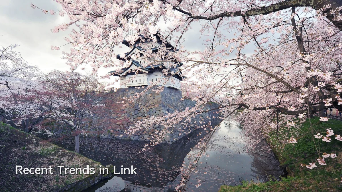 Recent Trends in Link