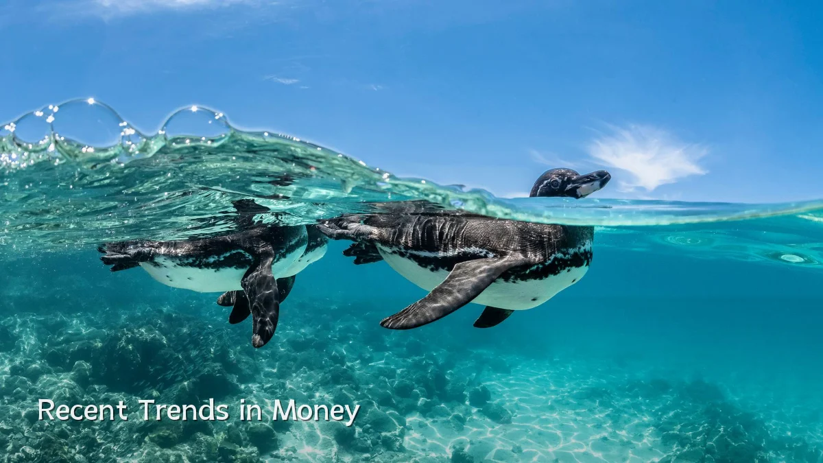 Recent Trends in Money