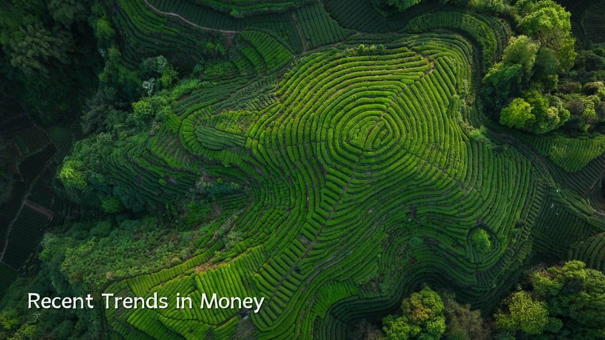 Recent Trends in Money