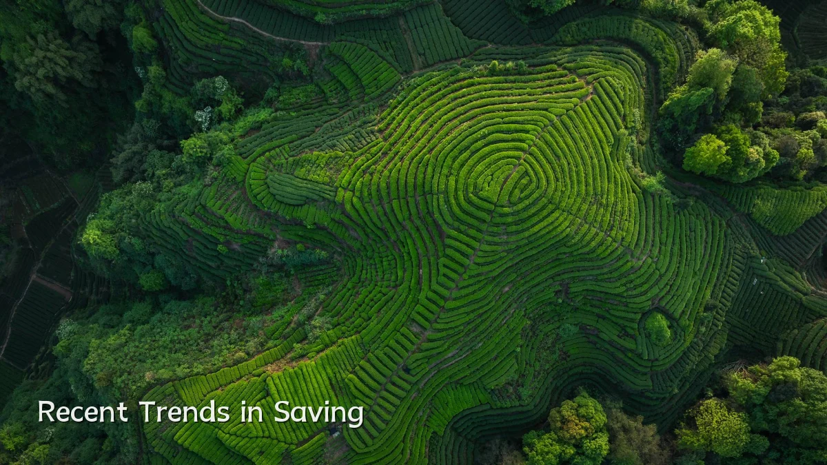 Recent Trends in Saving