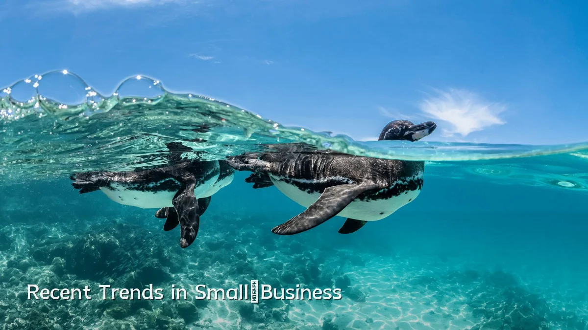 Recent Trends in Small‑Business