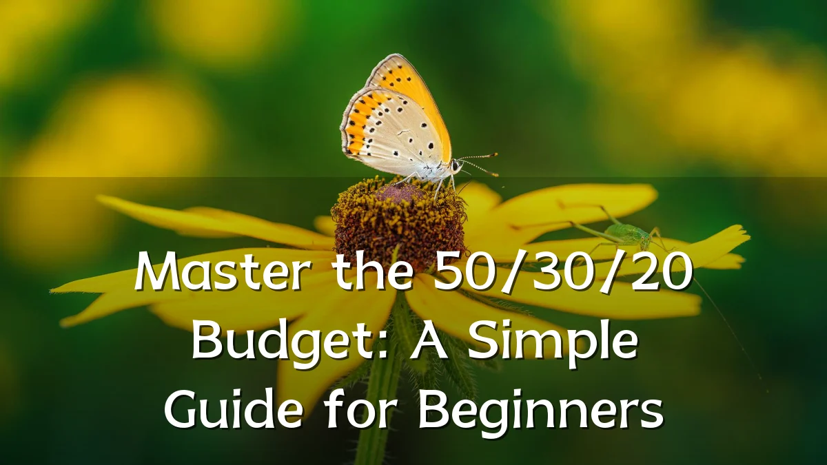 Master the 50/30/20 Budget: A Simple Guide for Beginners