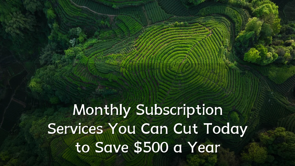 Monthly Subscription Services You Can Cut Today to Save $500 a Year