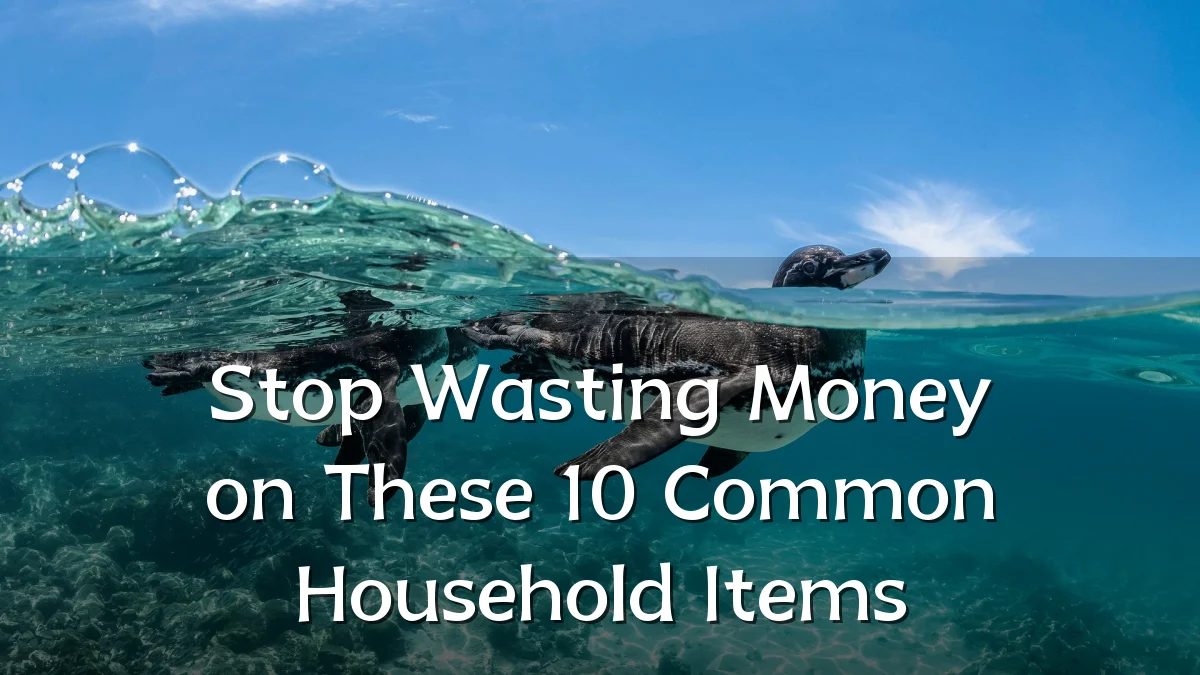 Stop Wasting Money on These 10 Common Household Items