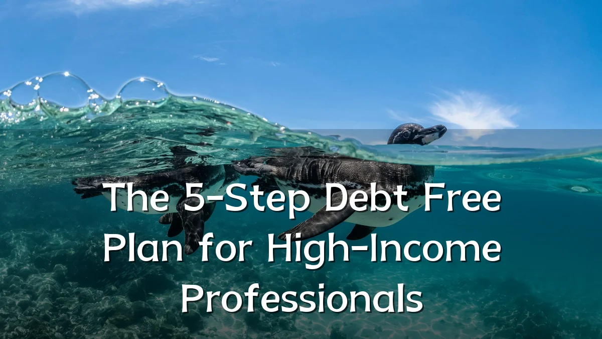The 5-Step Debt Free Plan for High-Income Professionals