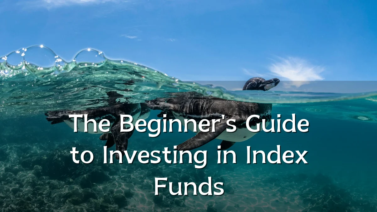 The Beginner's Guide to Investing in Index Funds