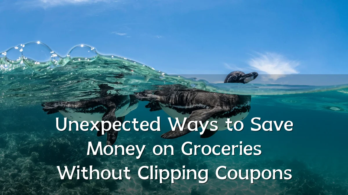 Unexpected Ways to Save Money on Groceries Without Clipping Coupons