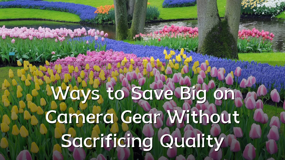 Ways to Save Big on Camera Gear Without Sacrificing Quality