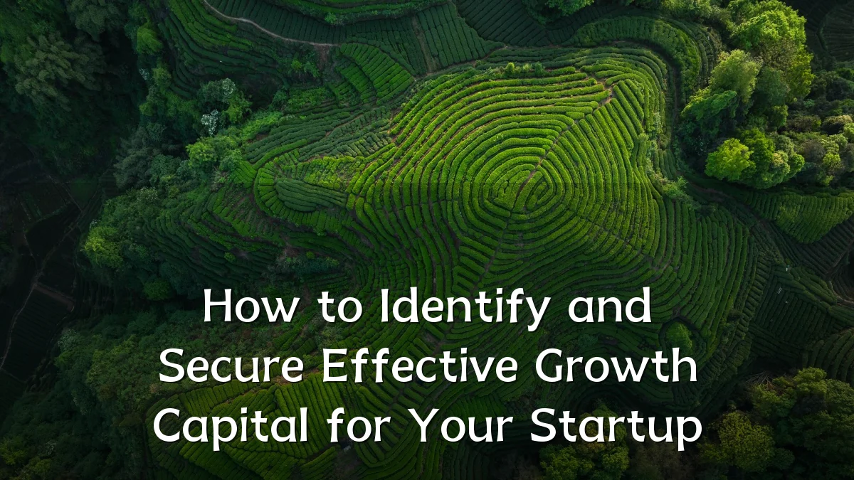 How to Identify and Secure Effective Growth Capital for Your Startup