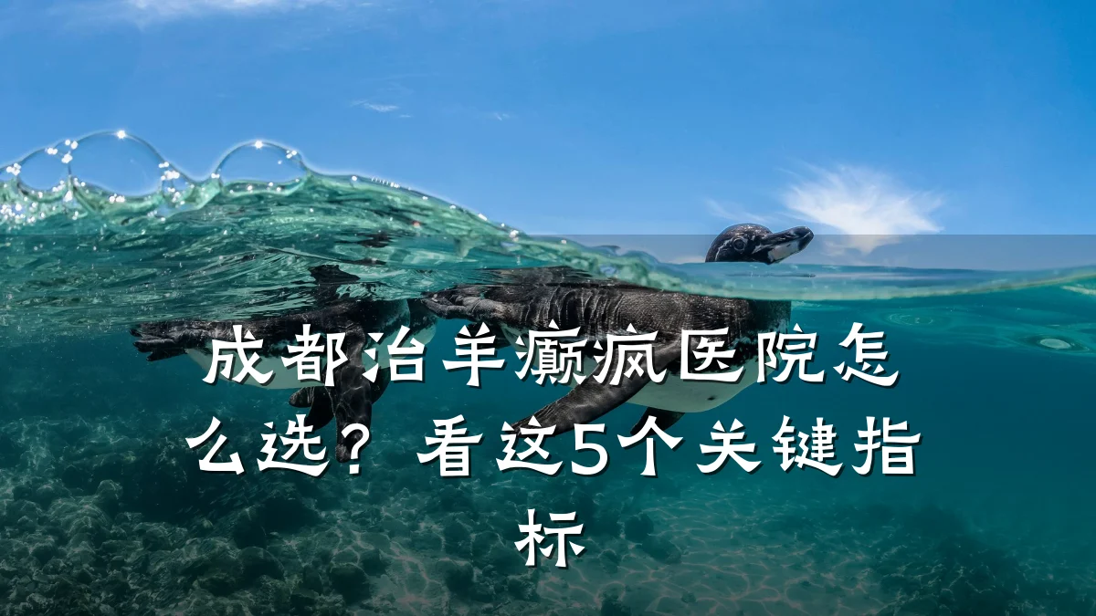 成都治羊癫疯医院怎么选？看这5个关键指标