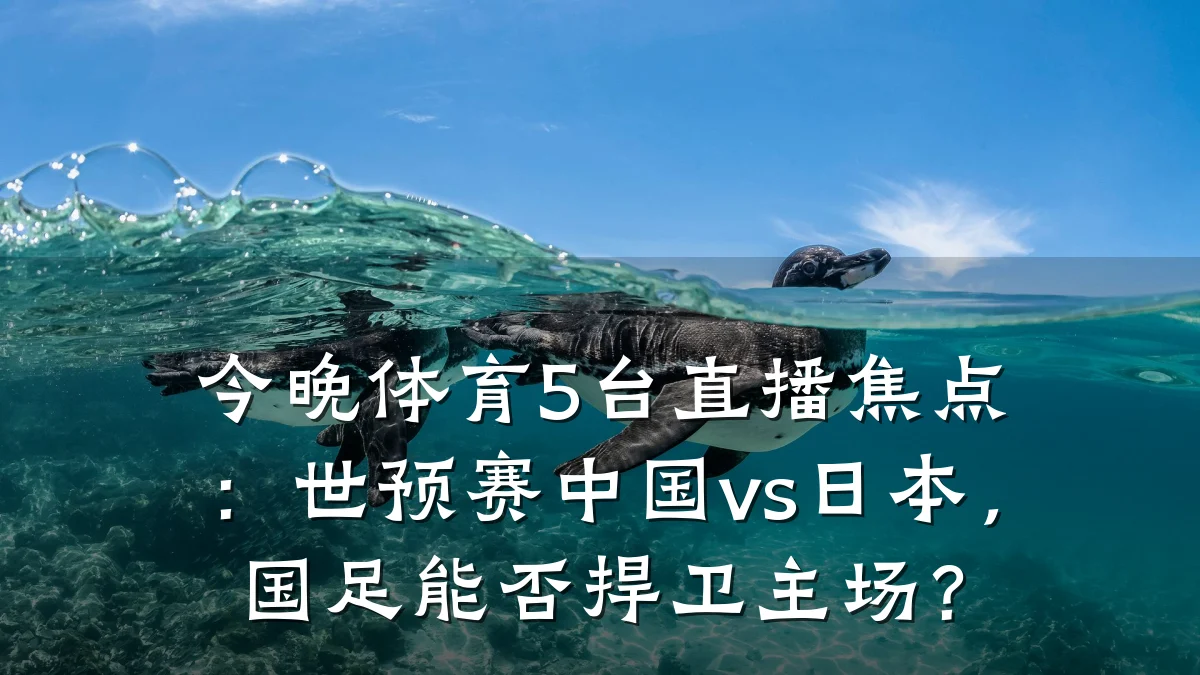 今晚体育5台直播焦点：世预赛中国vs日本，国足能否捍卫主场？