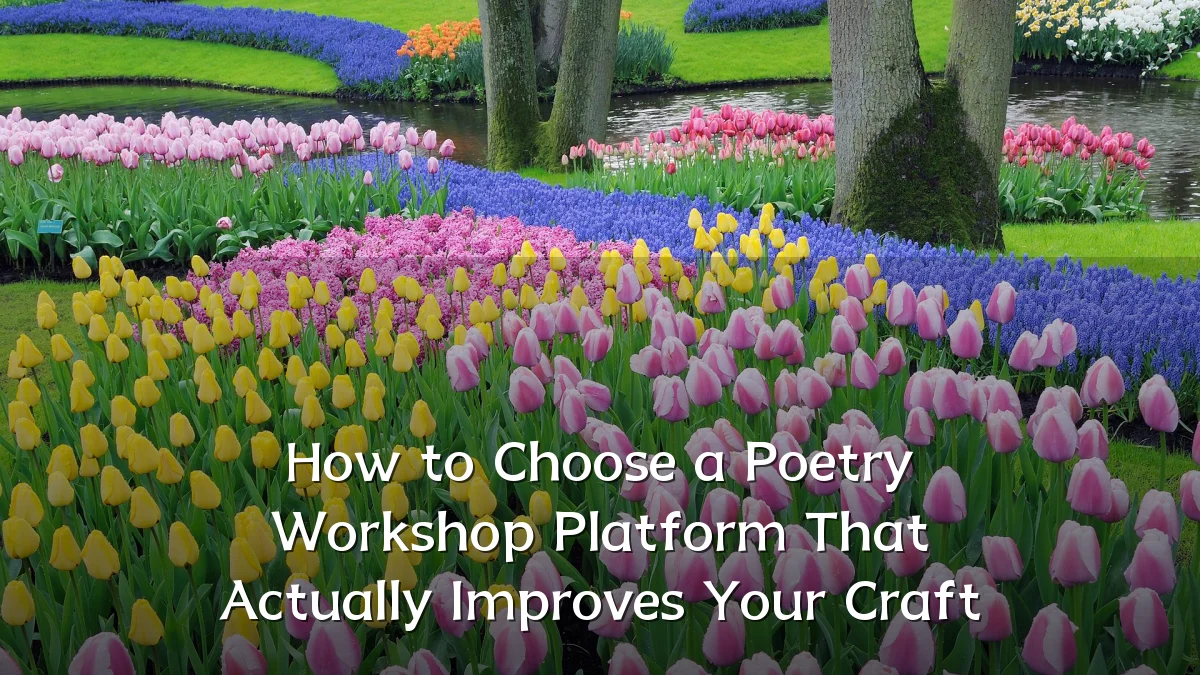 How to Choose a Poetry Workshop Platform That Actually Improves Your Craft