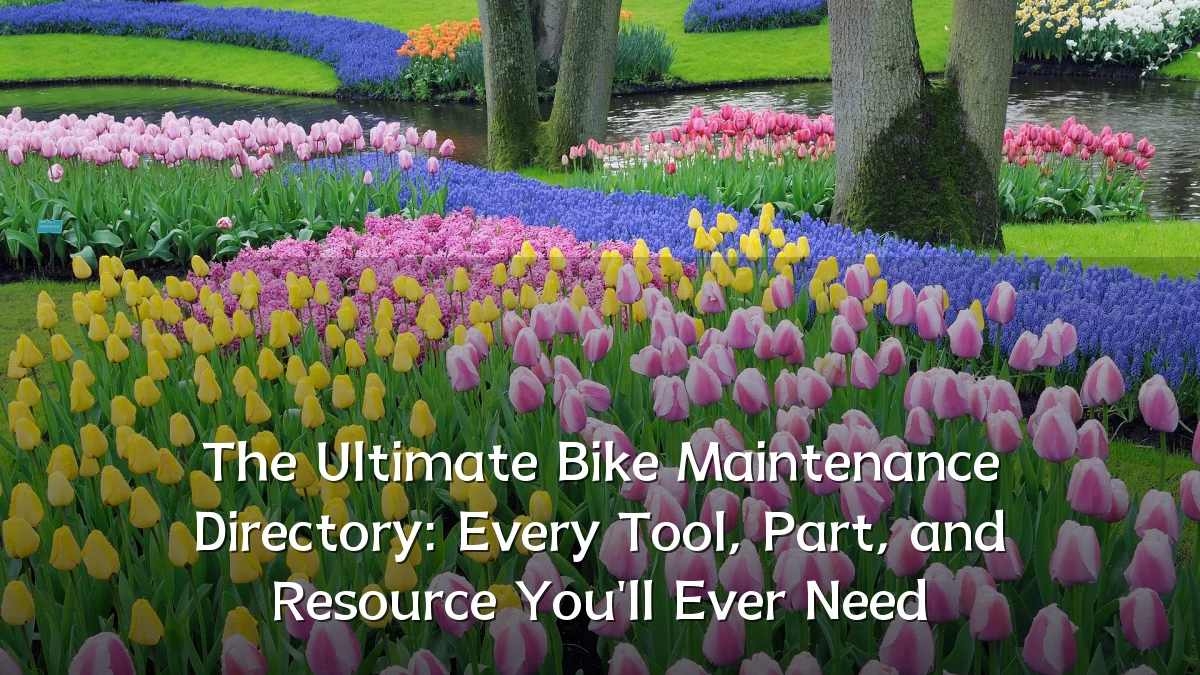 The Ultimate Bike Maintenance Directory: Every Tool, Part, and Resource You'll Ever Need
