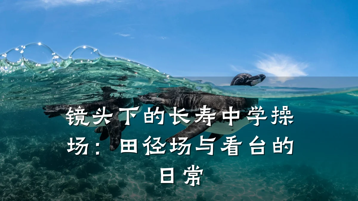 镜头下的长寿中学操场:田径场与看台的日常